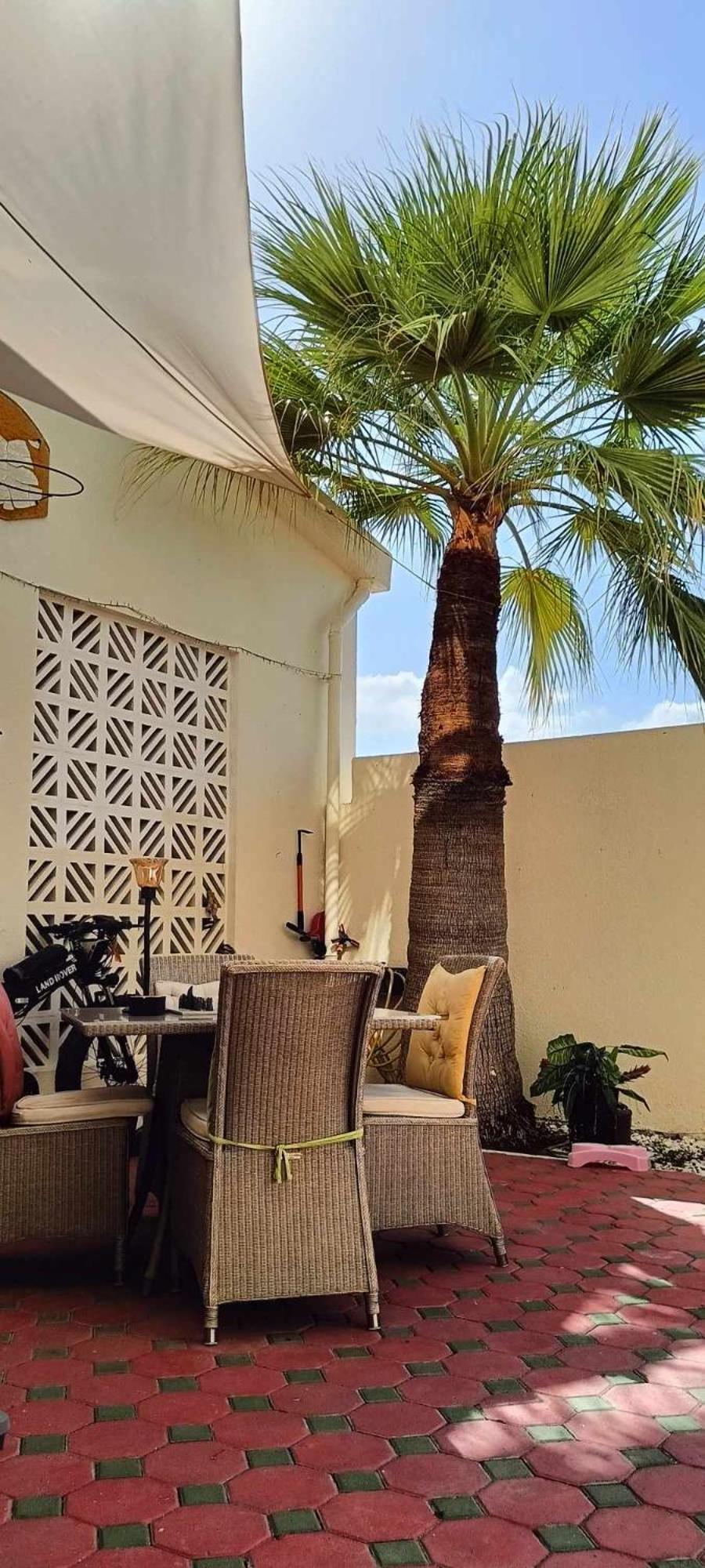 Jumeirah Beach Villa Dubai Esterno foto
